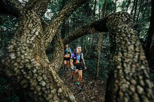 BIB: 
                            <button type="button" onclick="openModal(25392750)" class="btn btn-primary btn-sm float-right btn-popup" data-toggle="modal" data-target=".modal-high-quality">
                        <i class="fas fa-shopping-cart"></i> Add to Cart
                    </button>
                                            <button type="button" onclick="isThisMe(25392750, true)" class="btn btn-success btn-sm float-right btn-popup btn-isme hidden" data-toggle="tooltip" data-placement="bottom" title="นี่คือรูปของคุณใช่ไหม คลิกที่นี่เพื่อเอาเข้าอัลบั้ม">
                        <i class="fas fa-plus"></i> Add to album
                    </button>
                    <button type="button" onclick="isThisMe(25392750, false)" class="btn btn-warning btn-sm float-right btn-popup btn-isnotme hidden">
                        <i class="fas fa-ban"></i> Remove from album
                    </button>